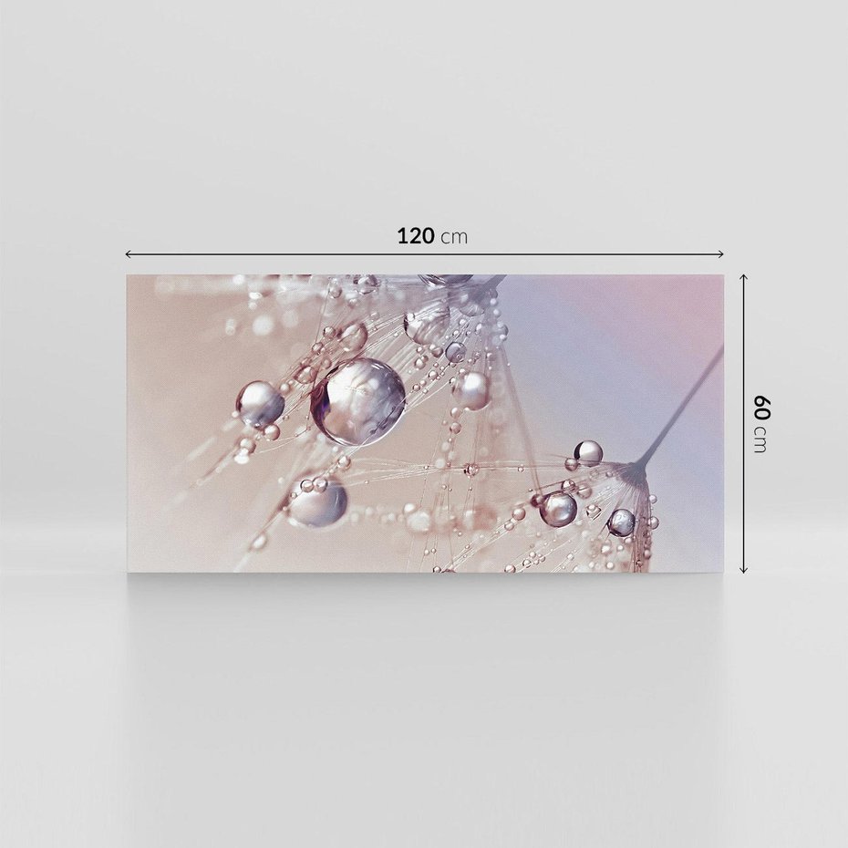 Obraz na płótnie 120x60 - Delikatne Natchnienie - krople, dmuchawce