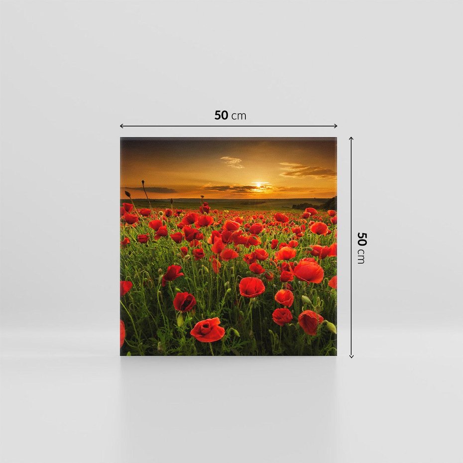 Obraz na płótnie 50x50 - Maki na łące: Przebudzenie wiosny - mak, maki