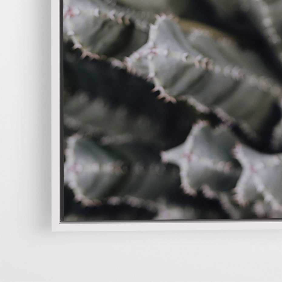 Obraz w ramie 70x100 - Boho kaktusy na pustyni - kaktusy, pustynia - rama biała