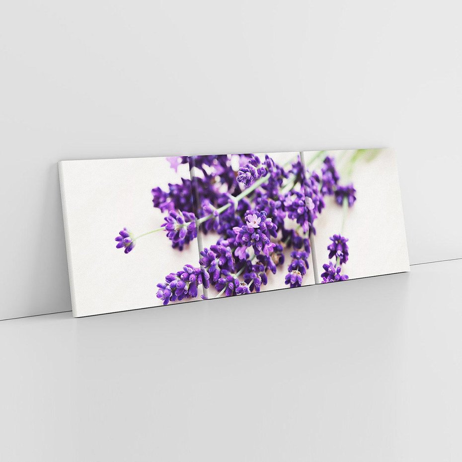 Obraz na płótnie 150x50 - Urok lawendowych kwiatów - lawenda, kwiaty