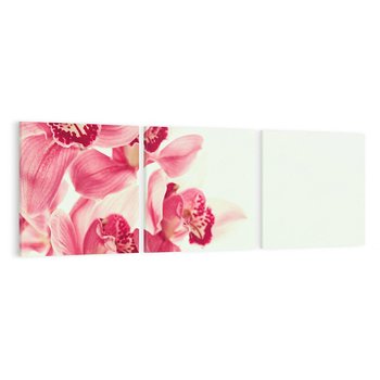 Obraz na płótnie 90x30 - Orchidea - delikatne kwiaty - orchidea, kwiaty