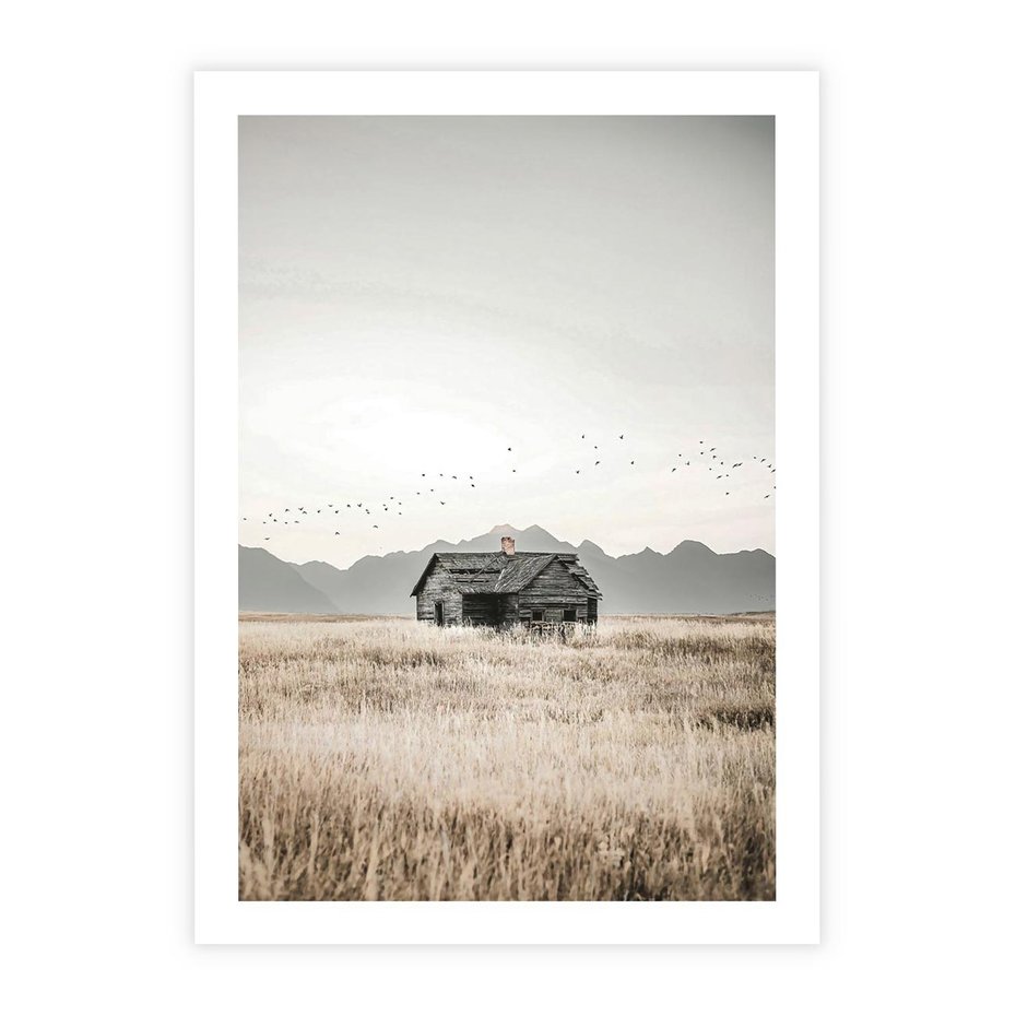 Plakat bez ramy 40x50 - Wiejska Idylla - stary drewniany dom w polu suchej trawy, fotografia