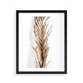 Plakat w ramie 40x50 - Minimalizm Palmowy: Sucha Uroda - sucha palma, minimalizm - rama czarna