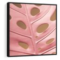 Obraz w ramie 50x50 - Różowa monstera w pełnym rozkwicie - różowa, monstera - rama czarna