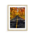 Plakat w ramie 30x40 - Droga przez jesienny las - droga, las - rama drewno