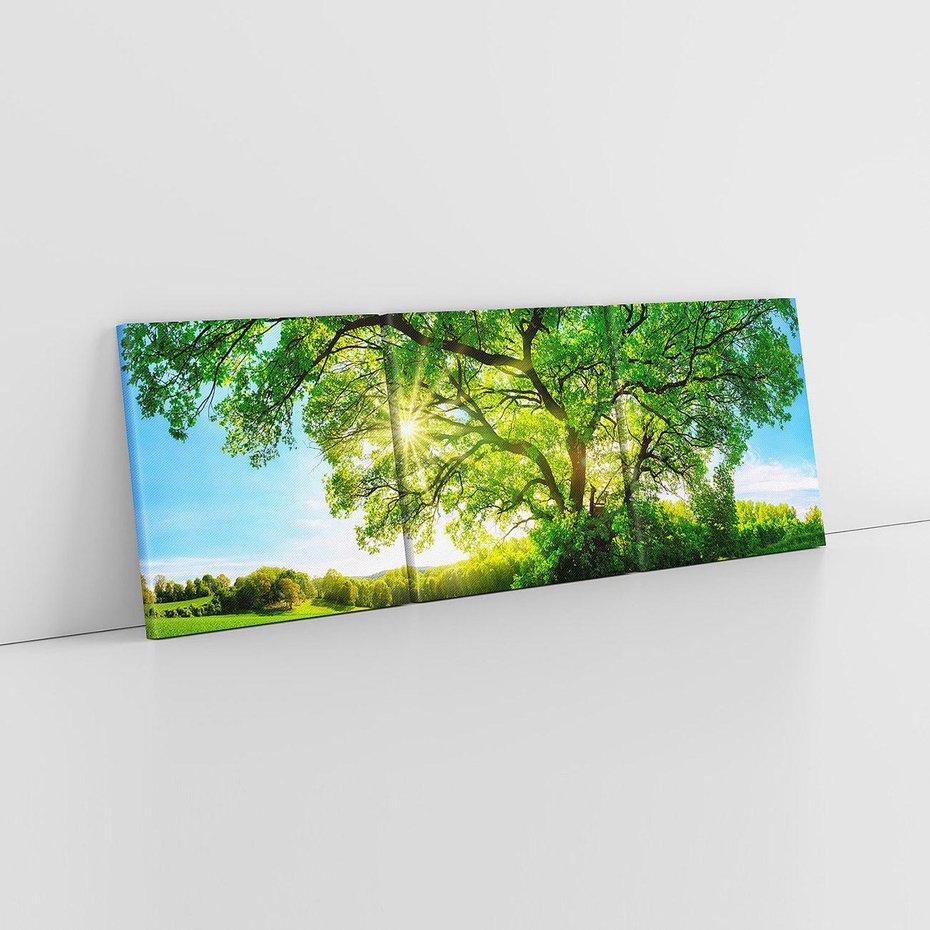 Obraz na płótnie 120x40 - Natura w pełnym rozkwicie - drzewo, niebo
