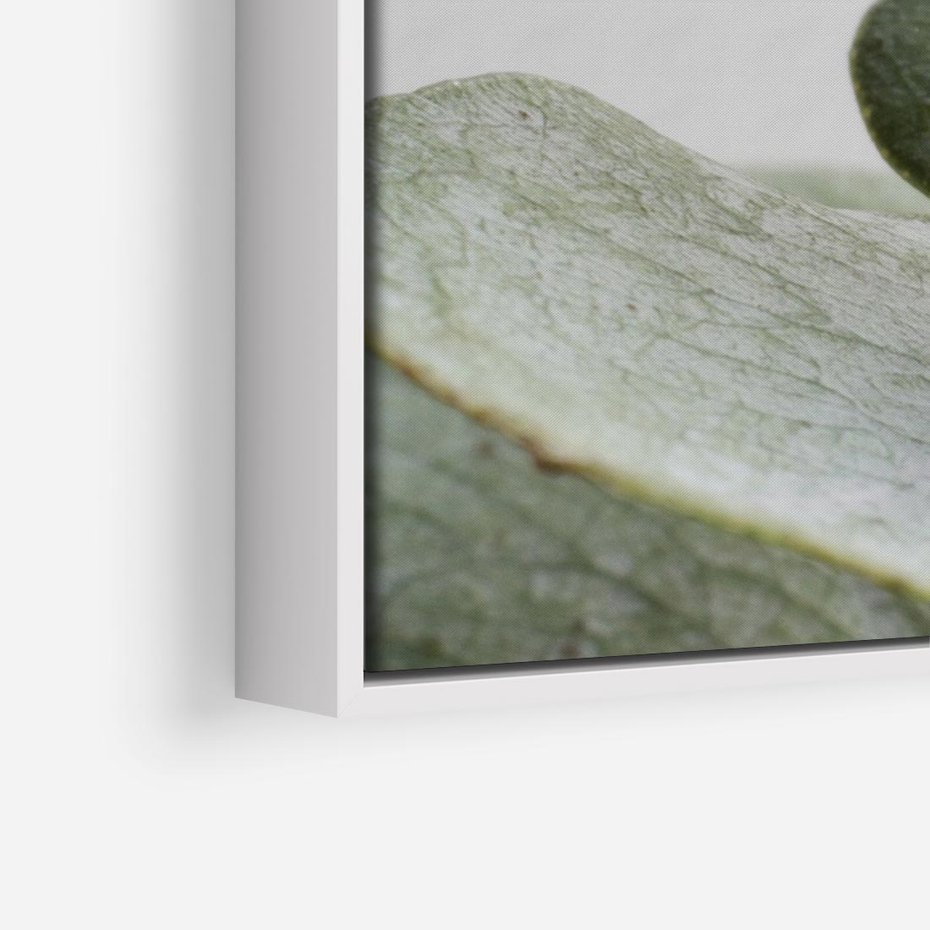 Obraz w ramie 120x80 - Eukaliptusowa zieleń - eukaliptus, zielone - rama biała