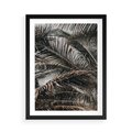 Plakat w ramie 50x70 - Liściaste Palmy - palmy, drzewa palmowe - rama czarna