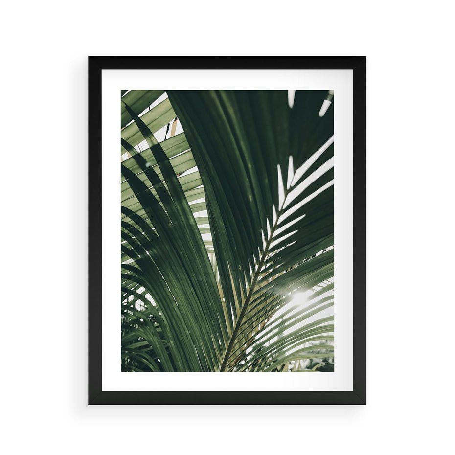 Plakat w ramie 40x50 - Tropikalne Uroki: Palmy i Zielone Liście - palmy, zielone liście - rama czarna