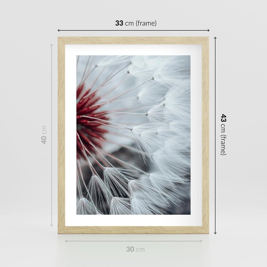 Plakat w ramie 30x40 - Makro świat dmuchawca - dmuchawiec, makro - rama drewno