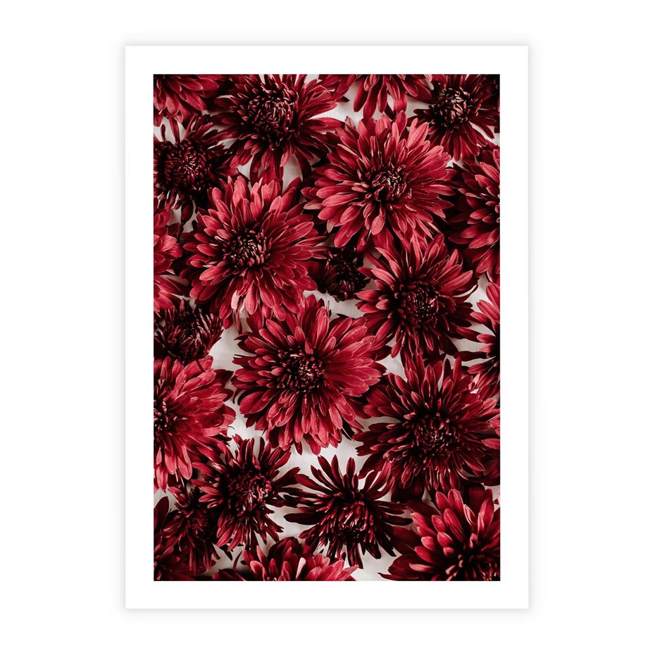 Plakat bez ramy 50x70 - Energia Kwiatów - czerwone kwiaty, kompozycja