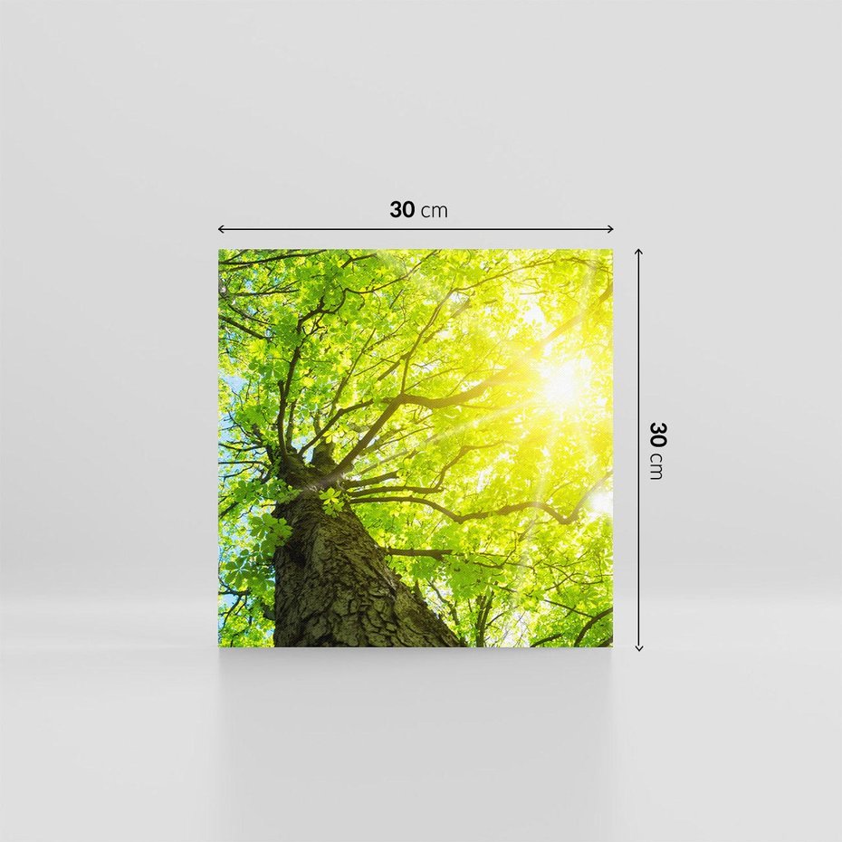 Obraz na płótnie 30x30 - Drzewo pod Słońcem: Łączność z Naturą - drzewo, słońce