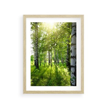 Plakat w ramie 30x40 - Lasowa Księżycowa Noc - las, drzewa - rama drewno