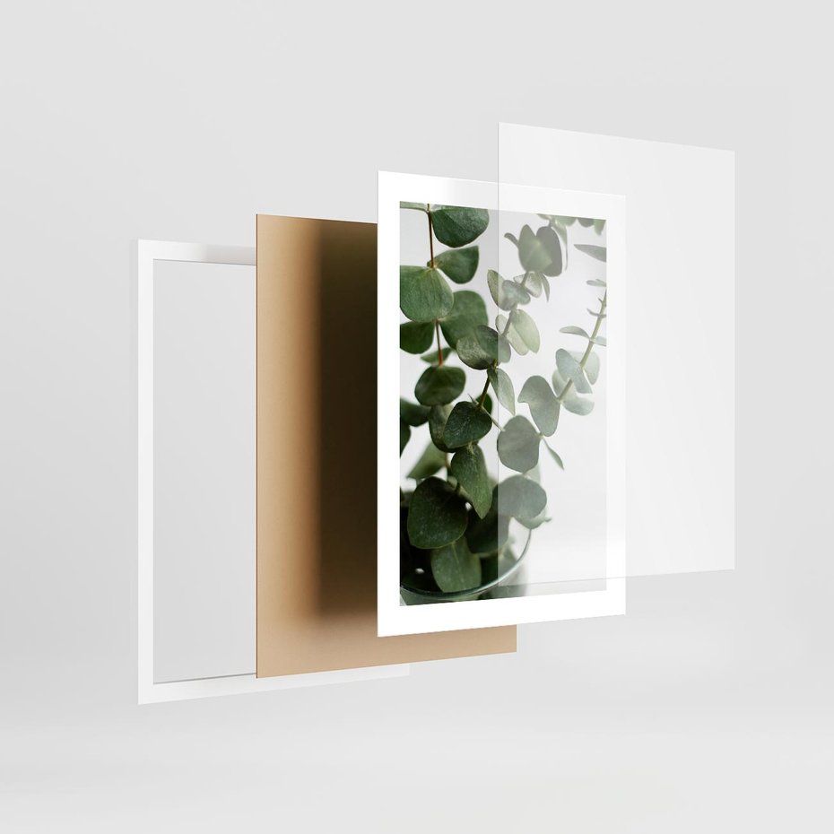 Plakat w ramie 30x40 - Zielone eukaliptusy - eukaliptus, liście - rama biała