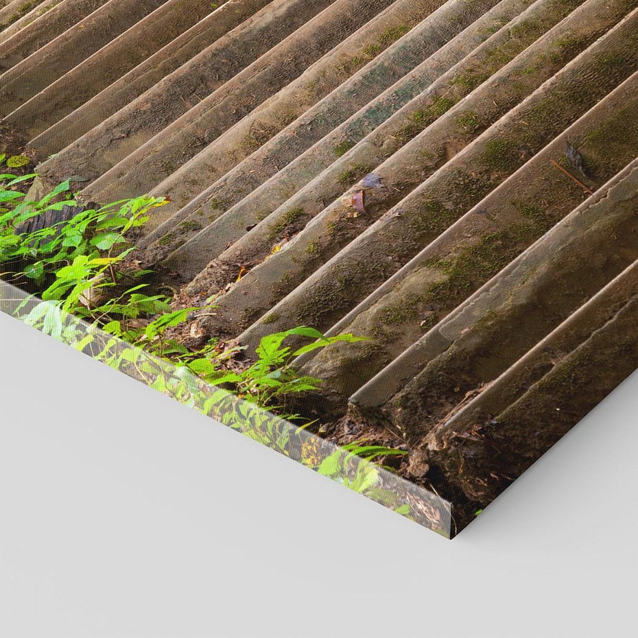 Obraz na płótnie 70x100 - Magia Leśnej Ścieżki - ścieżka, w lesie