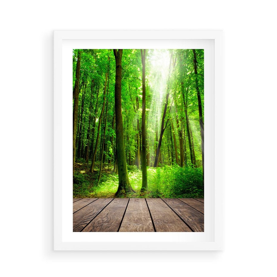 Plakat w ramie 50x70 - Spacer po urokliwej dróżce w lesie - las, dróżka - rama biała