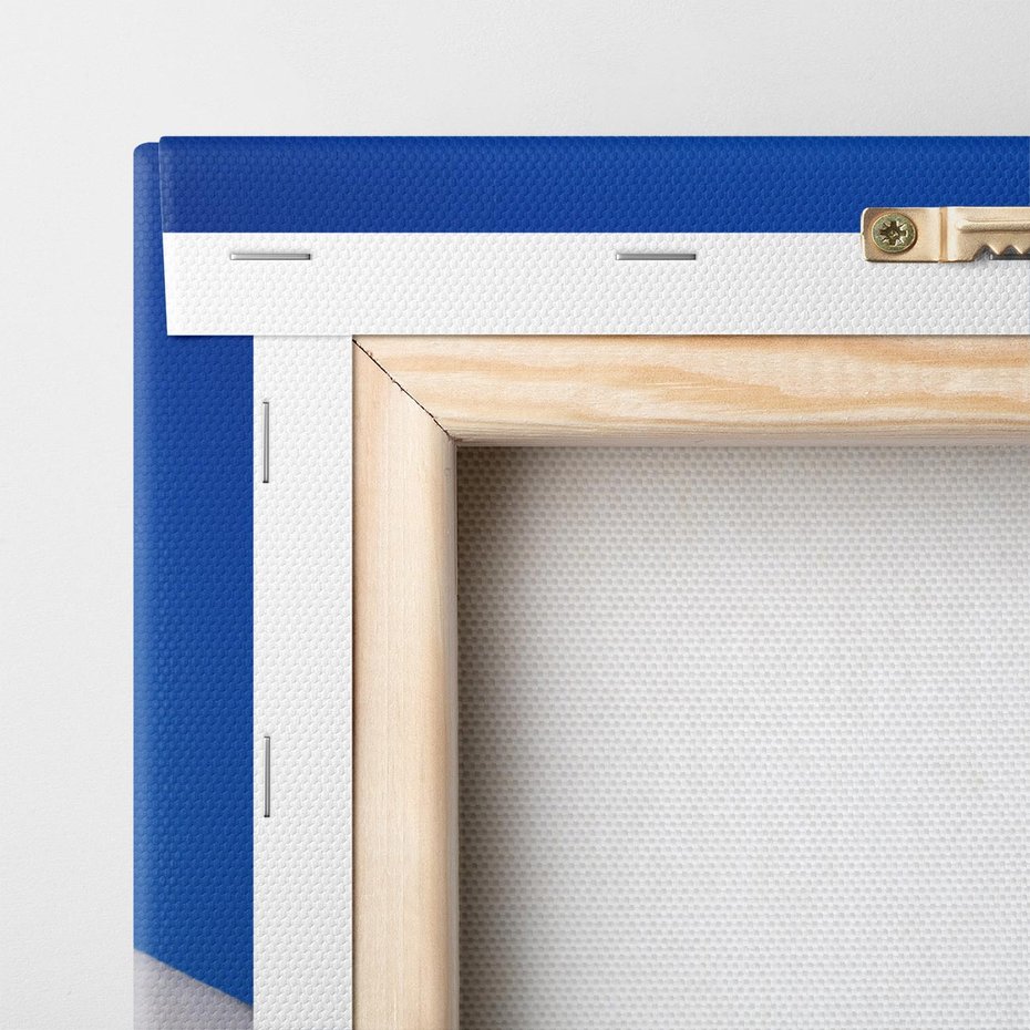 Obraz na płótnie 70x70 - Mewa nad morzem - mewa, pstak