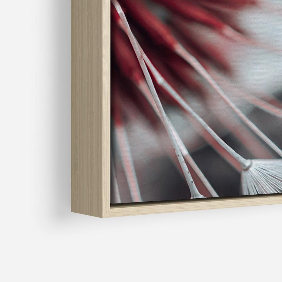 Obraz w ramie 120x80 - Makro świat dmuchawca - dmuchawiec, makro - rama drewno