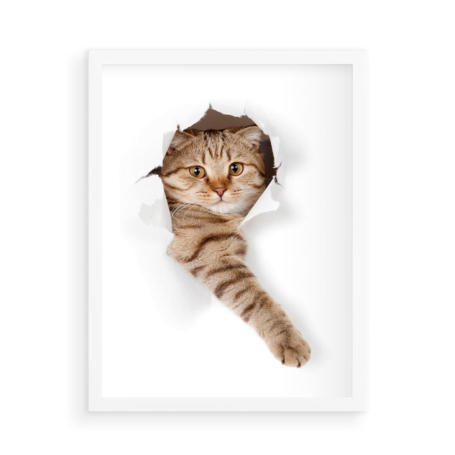Plakat w ramie 50x70 - Kot w Dziurze - kot, dziura - rama biała