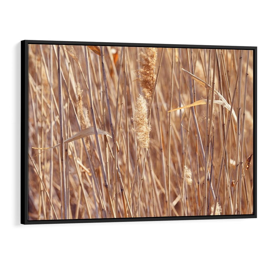 Obraz w ramie 100x70 - Mistrzowskie suche trawy - suche, trawy - rama czarna
