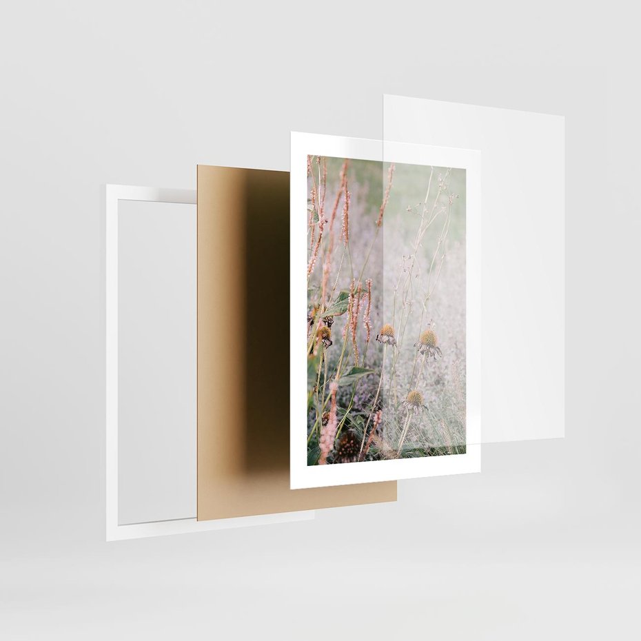 Plakat w ramie 30x40 - Przyroda w Pełnym Blasku: Kolorowa łąka z Kwiatami - łąka, kwiaty na łące - rama biała