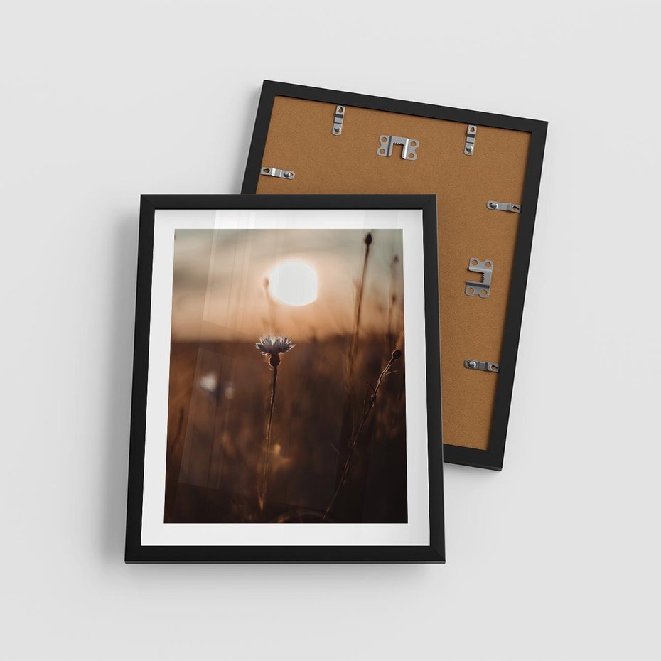 Plakat w ramie 40x50 - Spokój łąki pod zachodem słońca - zachód, słońca - rama czarna