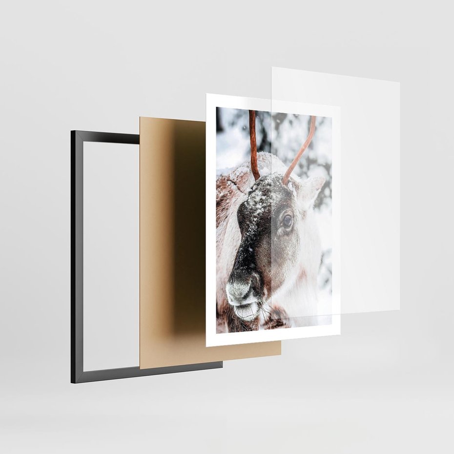 Plakat w ramie 50x70 - Renifer w Zimowej Krainie - renifer, zima - rama czarna