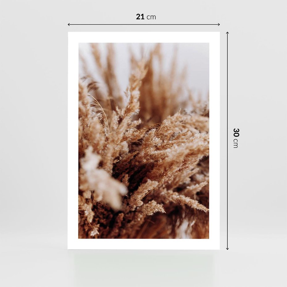 Plakat bez ramy 21x30 - Sztuka Suszonych Traw - trawa pampas, suszone trawy