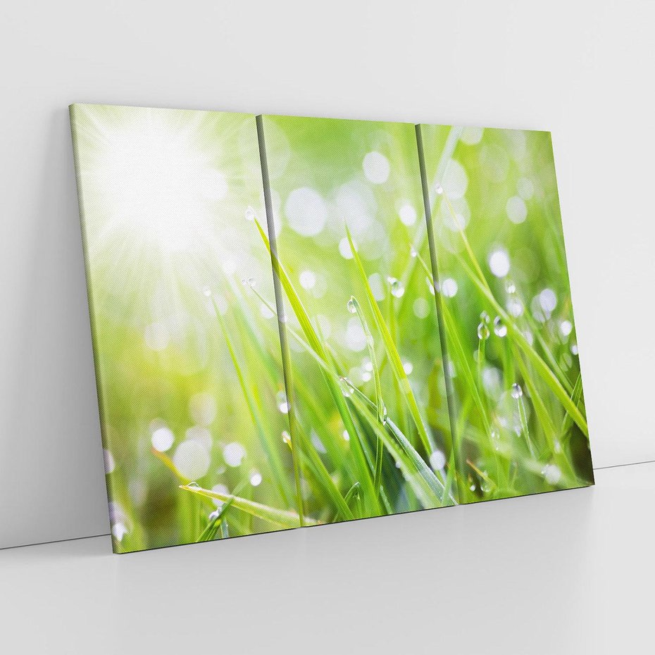 Obraz na płótnie 120x80 - Delikatna trawa pokryta rosą - trawa, rosa