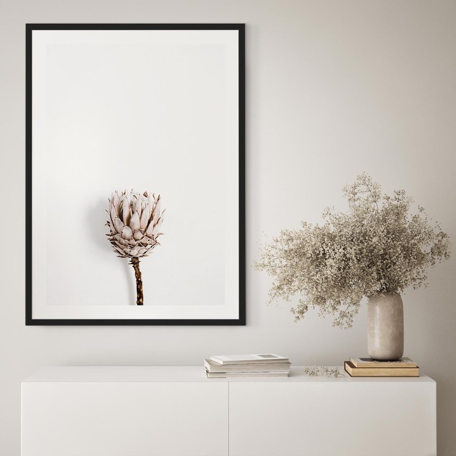 Plakat bez ramy 21x30 - Suszona Roślina na Białym Tle - minimalizm, suszona roślina