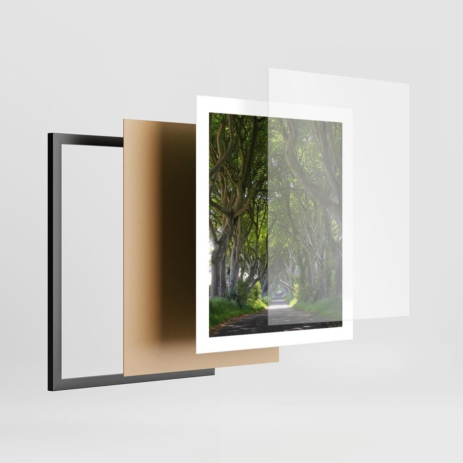 Plakat w ramie 40x50 - Magiczny Las - drzewa, las - rama czarna