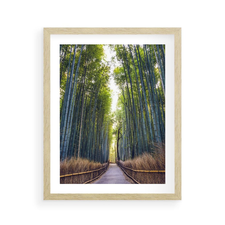 Plakat w ramie 40x50 - Urokliwa dróżka w lesie - las, dróżka - rama drewno