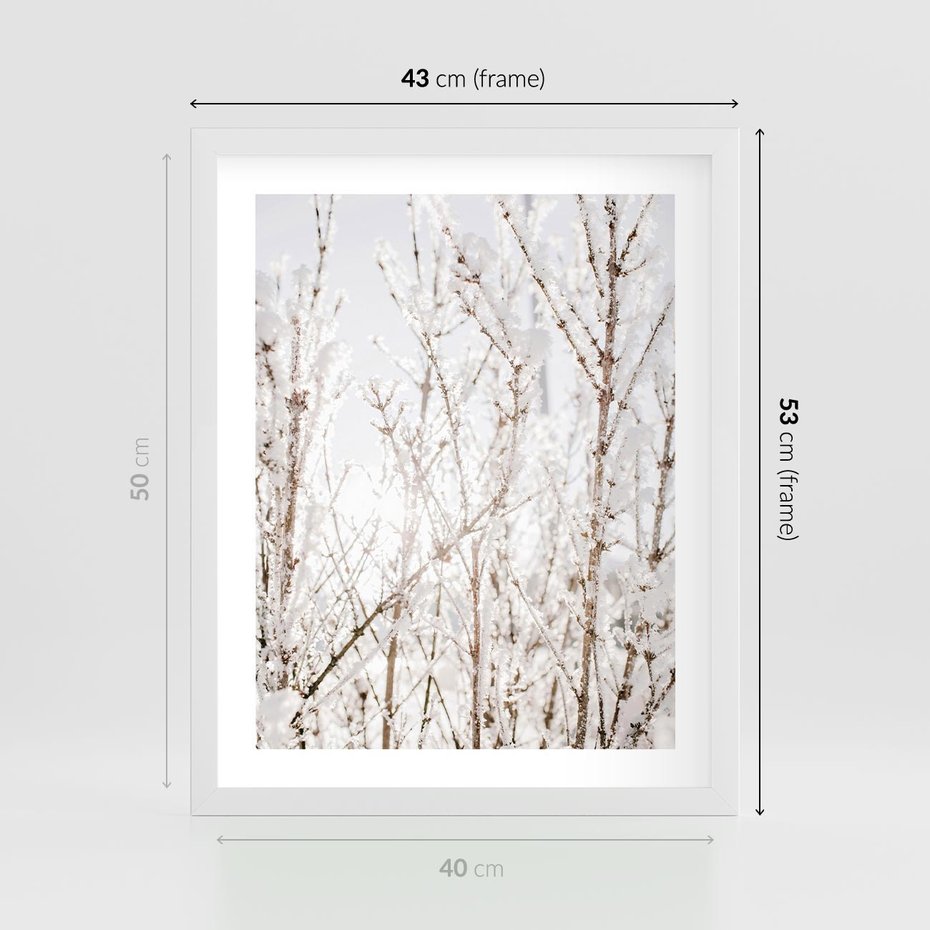 Plakat w ramie 40x50 - Szron na Gałęziach - ośnieżone gałązki, szron na gałęziach - rama biała