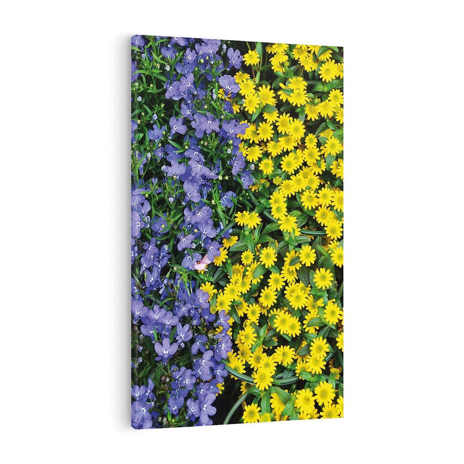 Obraz na płótnie 50x70 - Tulipanowe Elegancja - kwiat, kwiaty