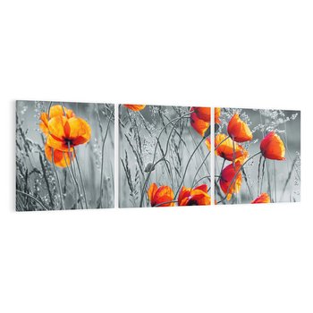Obraz na płótnie 120x40 - Malownicza łąka - maki, mak