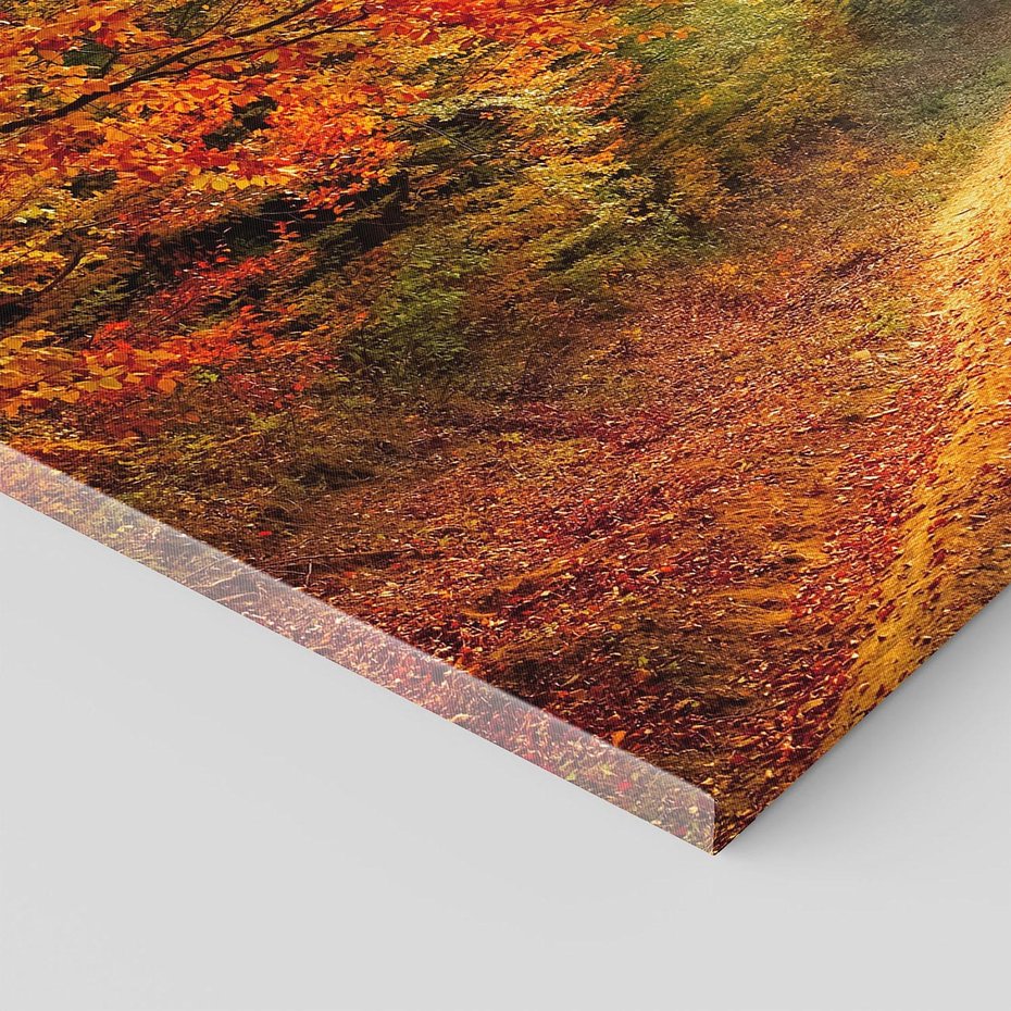 Obraz na płótnie 70x50 - Jesienny urok magia lasu - las, jesień