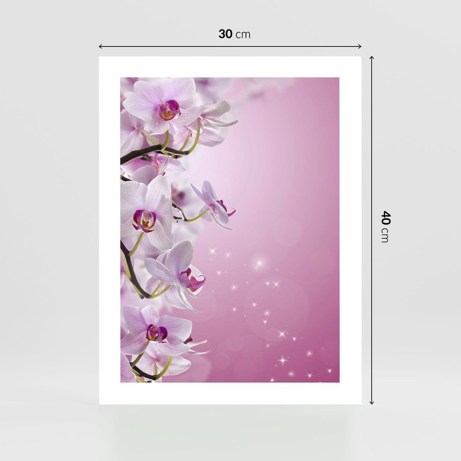 Plakat bez ramy 30x40 - Relaksujące Piękno - kwiaty, orchidea