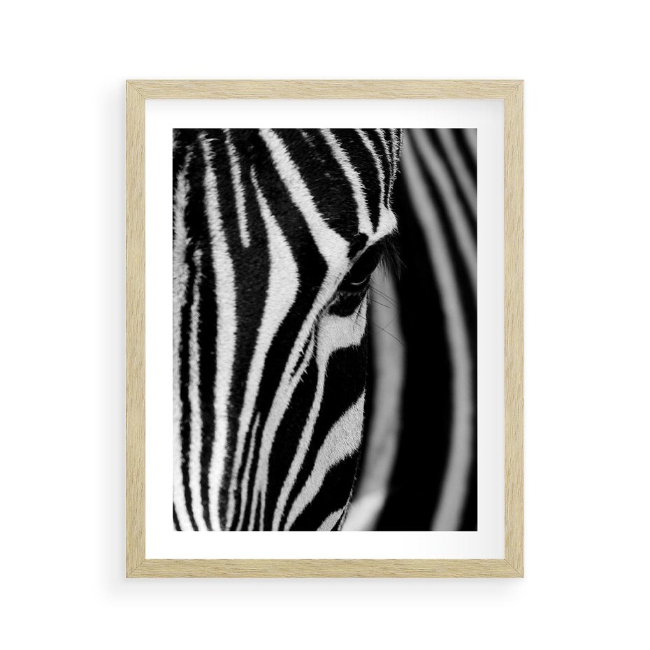 Plakat w ramie 40x50 - Pasy Zebr - zebra, paski - rama drewno