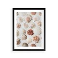Plakat w ramie 30x40 - Morska Delikatność: Muszelki na Białym Tle - kompozycja, morskie muszelki na białym tle - rama czarna