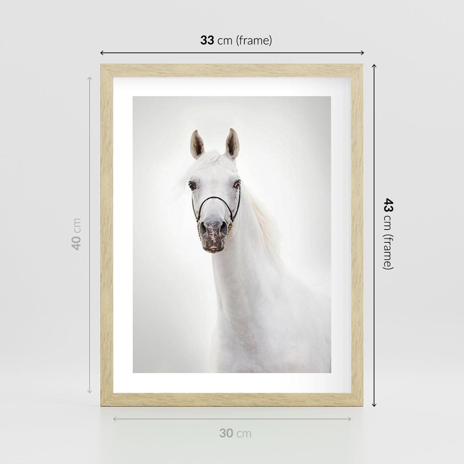 Plakat w ramie 30x40 - Elegancja białego konia - biały, koń - rama drewno
