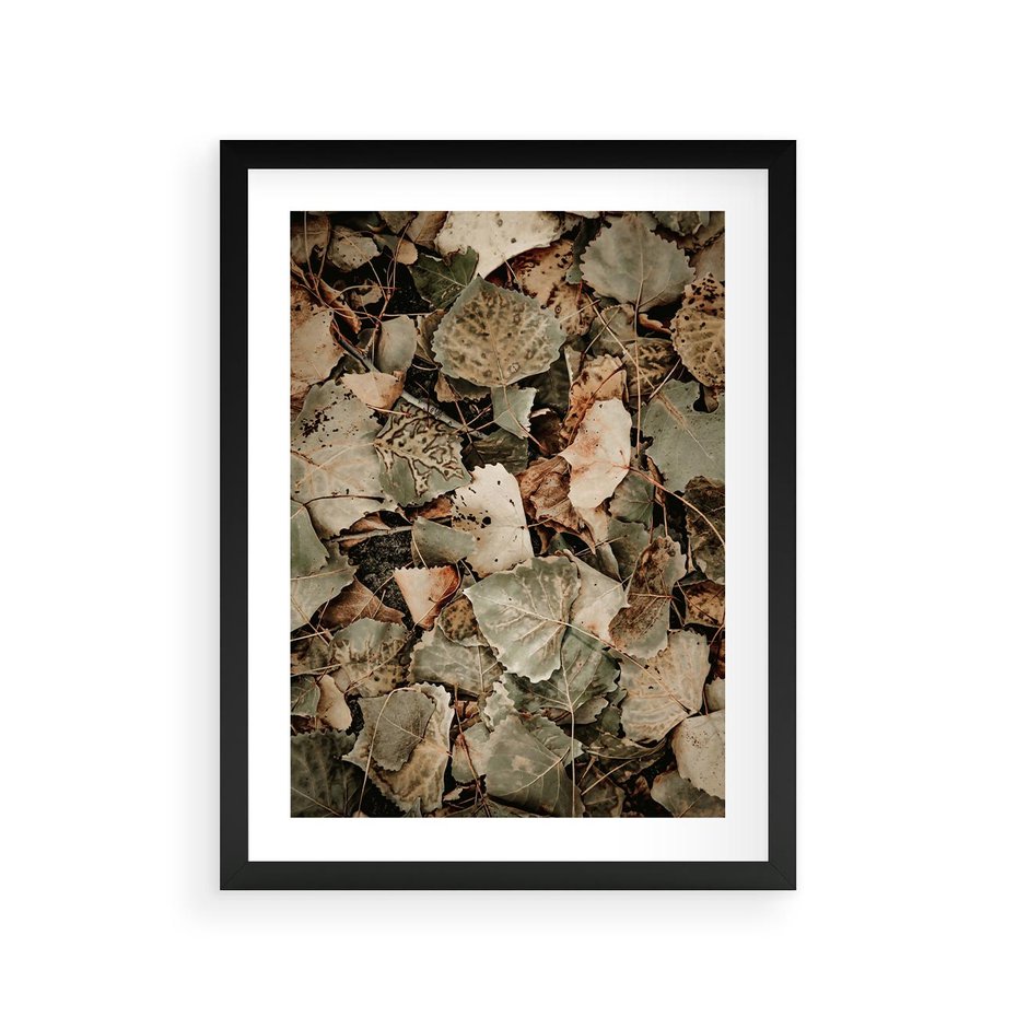 Plakat w ramie 30x40 - Magia Jesiennych Liści - liście, suche liście - rama czarna