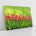 Obraz na płótnie 120x80 - Tulipanowy raj - kwiat, kwiaty