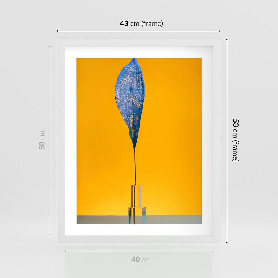 Plakat w ramie 40x50 - Niebiańskie liście - liść, liście - rama biała