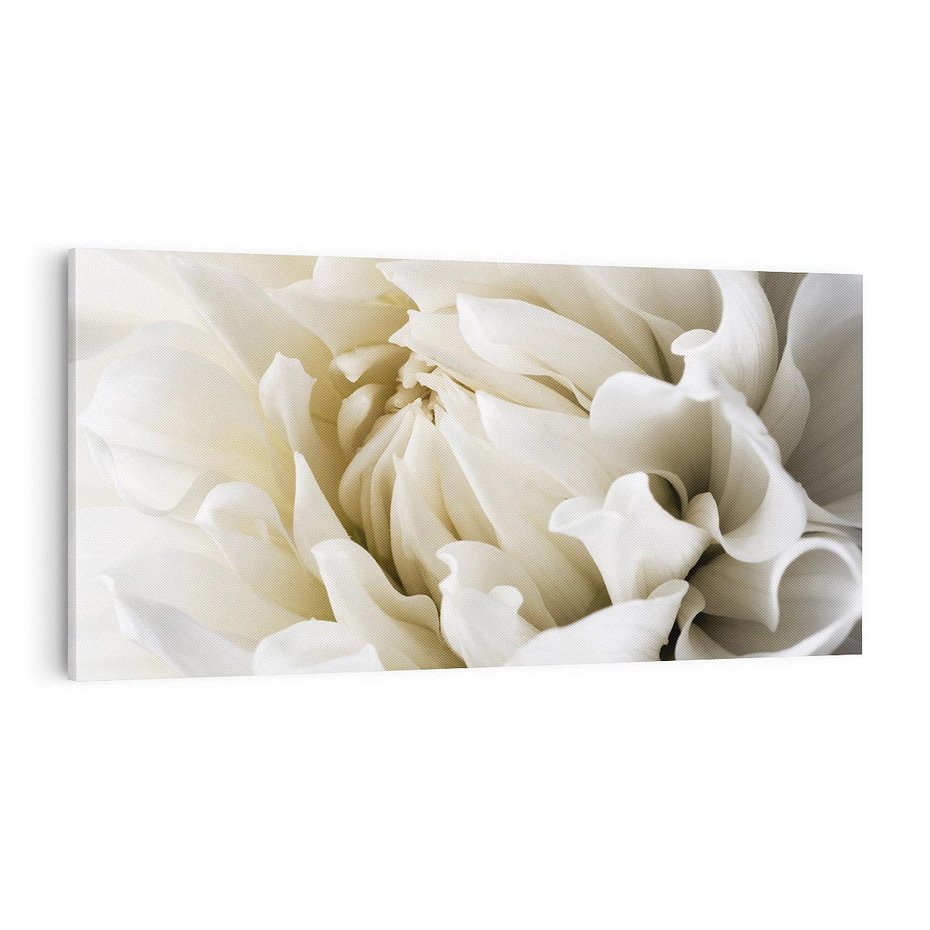 Obraz na płótnie 140x70 - Białe Kwiaty Delikatności - białe, kwiaty