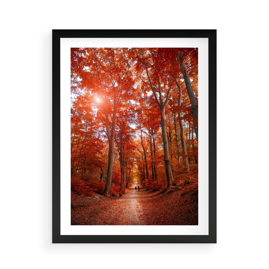 Plakat w ramie 50x70 - Magia jesiennego lasu - las, jesień - rama czarna