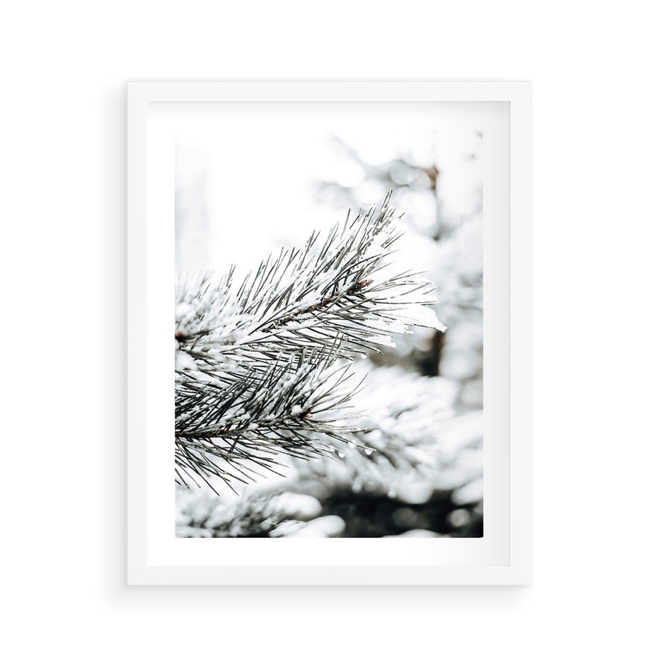 Plakat w ramie 40x50 - Chwila Zimowej Magii - iglasta gałązka, śnieg - rama biała
