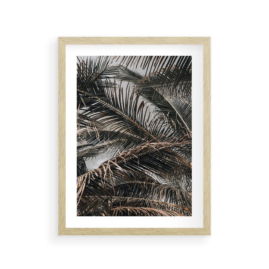 Plakat w ramie 30x40 - Liściaste Palmy - palmy, drzewa palmowe - rama drewno
