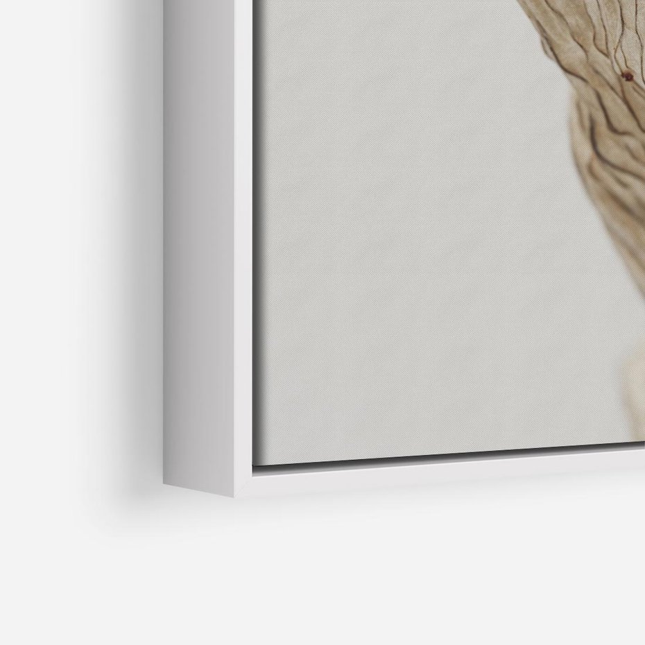 Obraz w ramie 50x50 - Suszone piękno - susz, suche - rama biała