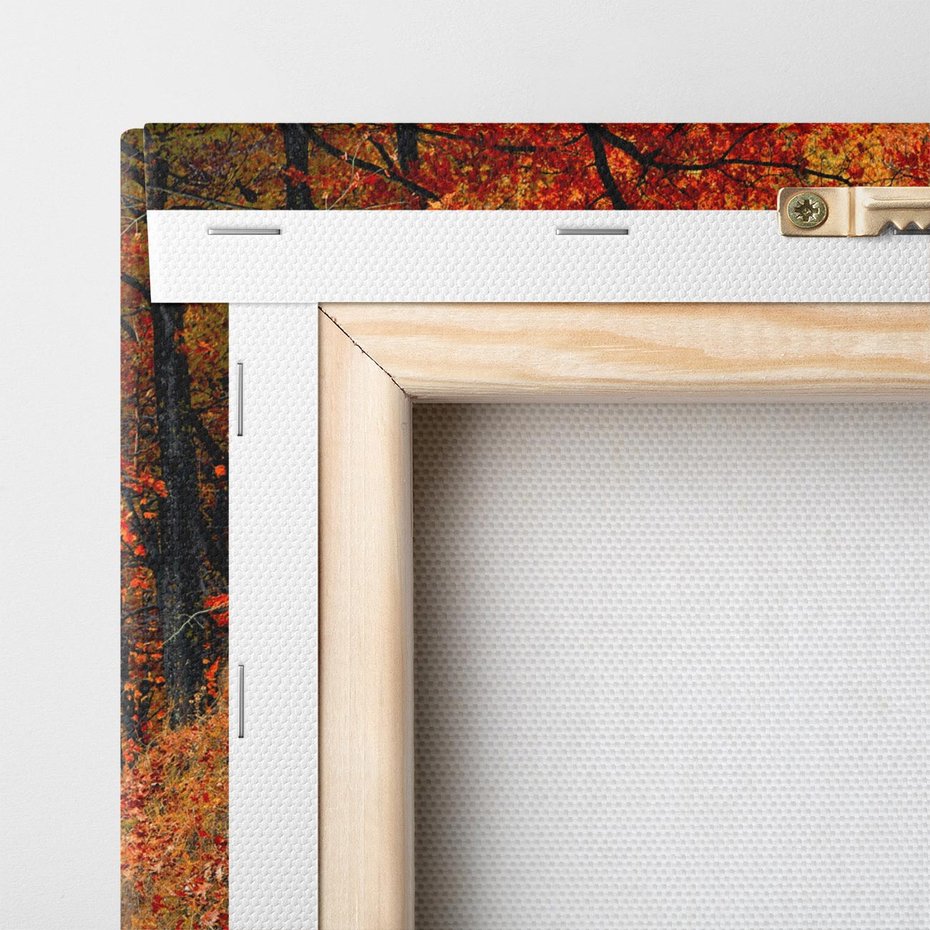 Obraz na płótnie 40x40 - Jesienna melodia lasu - jesień, las