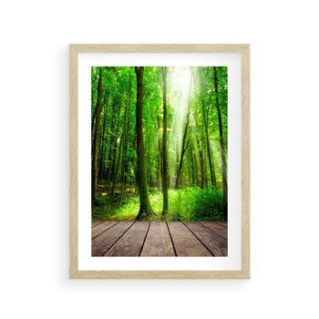 Plakat w ramie 40x50 - Spacer po urokliwej dróżce w lesie - las, dróżka - rama drewno
